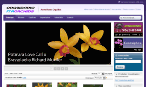 Orquidarioitaorchids.com.br thumbnail