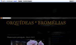 Orquideas-bromelias.blogspot.com.br thumbnail
