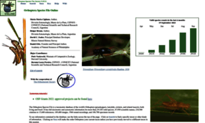 Orthoptera.speciesfile.org thumbnail