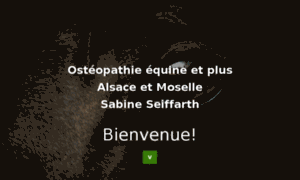 Osteopathe-equin.biz thumbnail