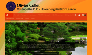 Osteopathe-toulouse-holoenergetics.com thumbnail