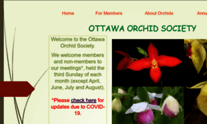 Ottawaorchidsociety.com thumbnail