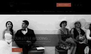 Ourlittlewedding.com thumbnail