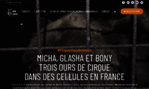 Ours-de-cirques.fr thumbnail