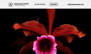 Outeniquaorchids.co.za thumbnail