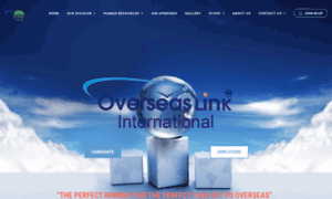 Overseaslinkinternational.com thumbnail