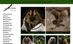 Owl-help.org.uk thumbnail