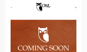 Owldesigns.com thumbnail