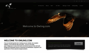 Owling.com thumbnail