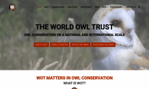 Owls.org thumbnail
