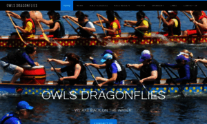 Owlsdragonflies.org thumbnail