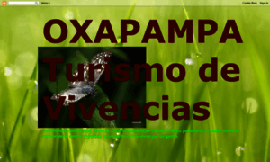 Oxapampavivencial.blogspot.com thumbnail