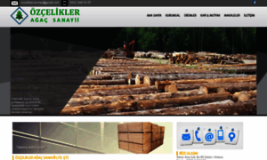 Ozcelikler.com.tr thumbnail