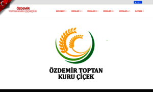 Ozdemirtoptankurucicek.com thumbnail