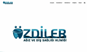 Ozdiler.com thumbnail