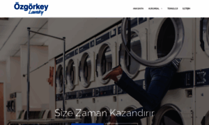 Ozgorkeylaundry.com thumbnail