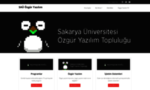 Ozguryazilim.sakarya.edu.tr thumbnail