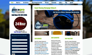 Paceprocarpetcleaning.com thumbnail