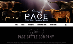 Pacetexaslonghorns.com thumbnail