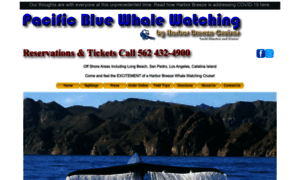 Pacificbluewhales.com thumbnail