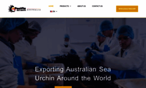 Pacificseaurchin.com.au thumbnail