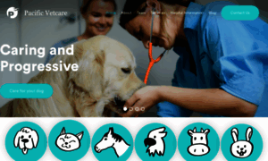 Pacificvetcare.com.au thumbnail