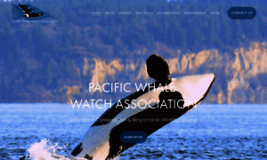 Pacificwhalewatchassociation.com thumbnail