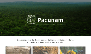 Pacunam.org thumbnail
