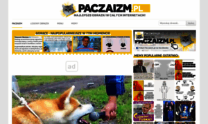 Paczaizm.pl thumbnail