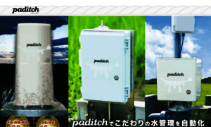 Paditch.com thumbnail