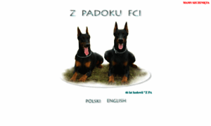 Padok.type.pl thumbnail