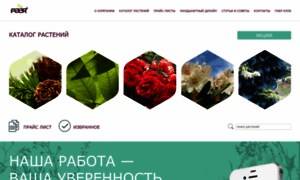 Paer.ru thumbnail