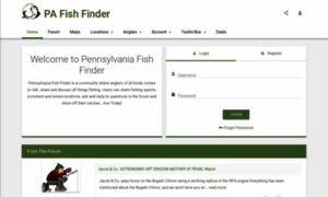 Pafishfinder.com thumbnail