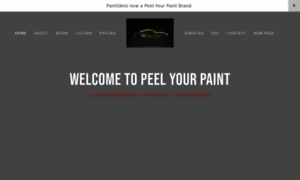 Paintskinz.com thumbnail