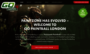 Paintzone.co.uk thumbnail