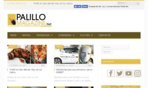 Palillomagazine.net thumbnail