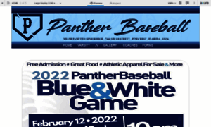 Palmettopantherbaseball.com thumbnail