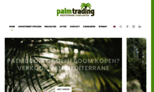 Palmtrading.be thumbnail