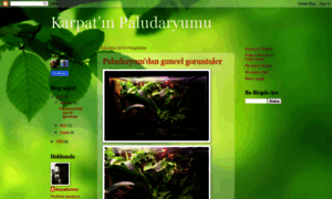 Paludaryumum.blogspot.com thumbnail