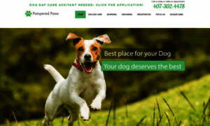 Pamperedpawsoforlando.com thumbnail