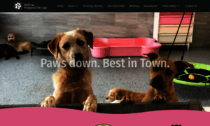 Pamperedpetspainc.com thumbnail