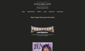 Panascape.co.za thumbnail