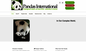Pandasinternational.org thumbnail