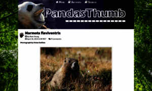 Pandasthumb.org thumbnail