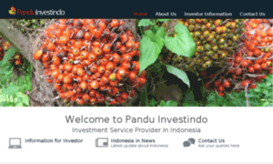 Panduinvestindo.com thumbnail