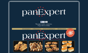 Panexpert.al thumbnail