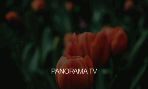 Panoramatv.ca thumbnail