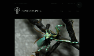 Panterrapets.com thumbnail