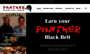 Panthermartialartshollywood.com thumbnail