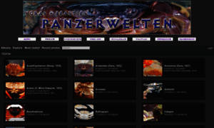 Panzerwelten.de thumbnail